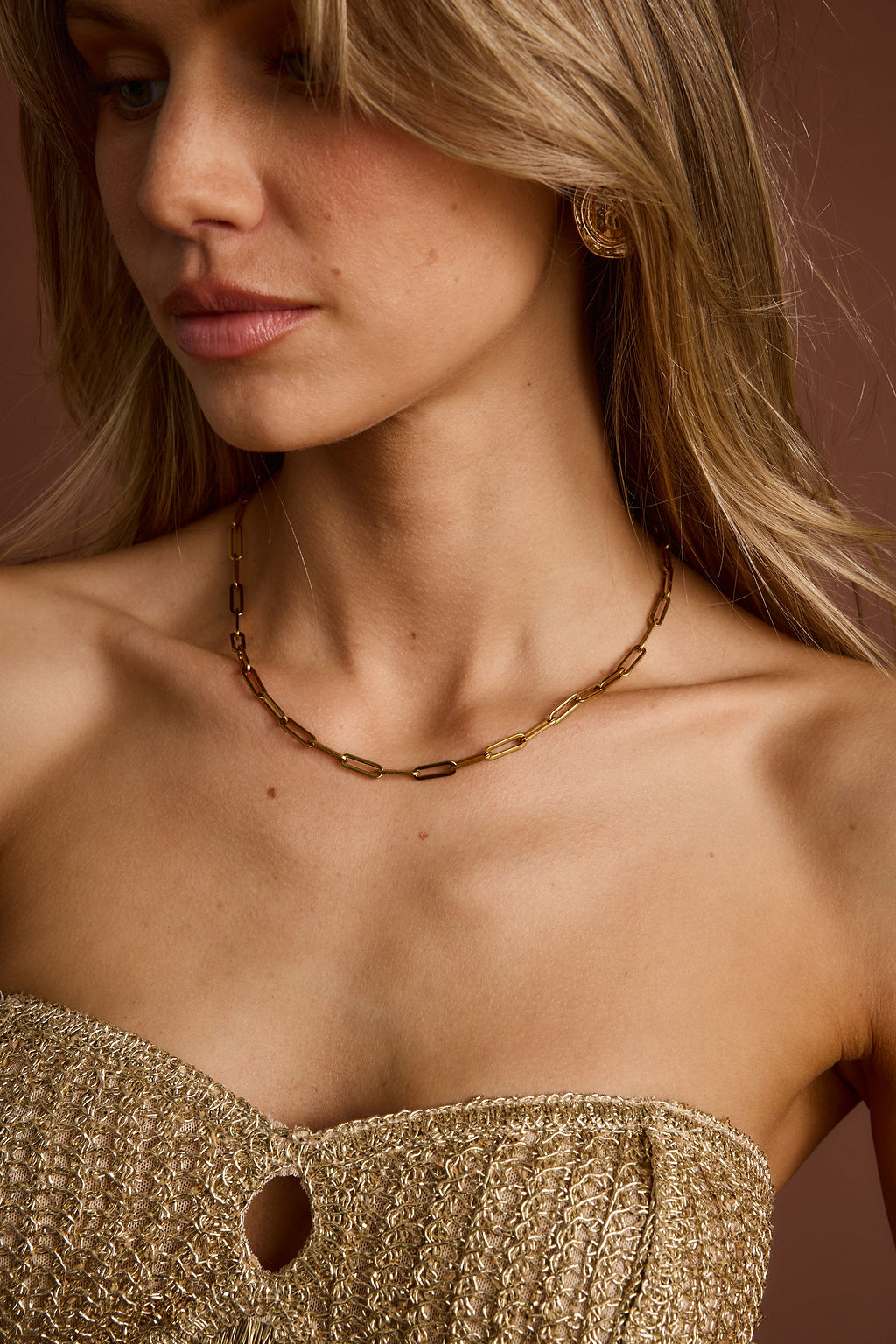 Lyra Gold Link Necklace