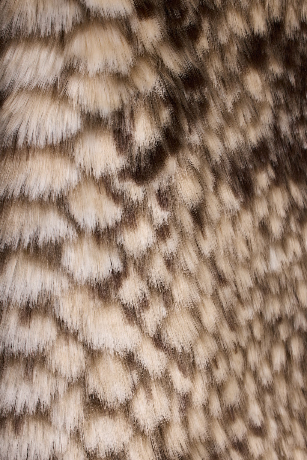 Wild Heart Snake Print Faux Fur Jacket