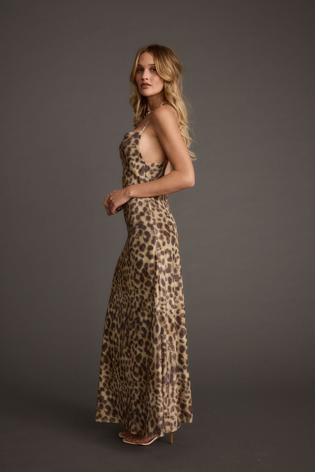 Wild Thing Leopard Print Mesh Maxi Dress